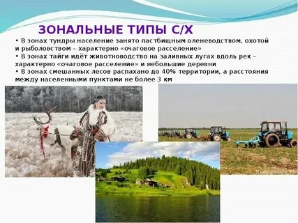 Какой тип животноводства наиболее развит в тундре