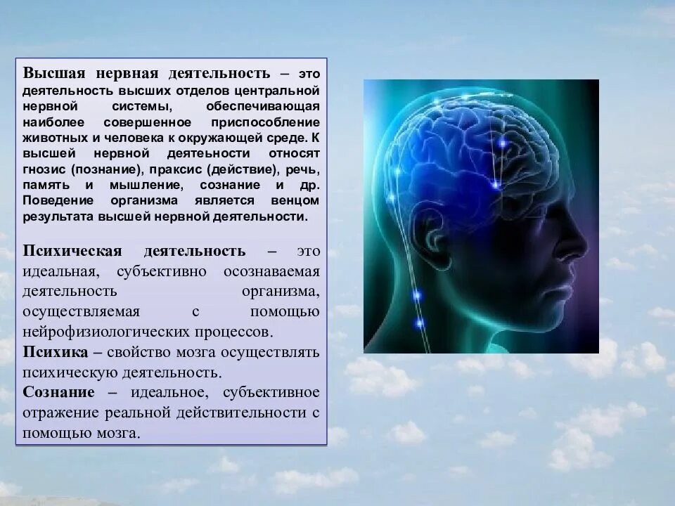 Психика и поведение человека презентация. Высшая нервная деятельность человека. Высшая нервная деятельность мозг. С деятельностью высшей нервной системы. Основа высшей нервной деятельности человека.