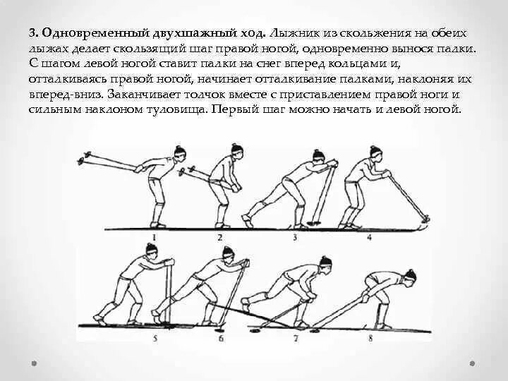 Двухшажный ход на лыжах. Попеременный двухшажный ход техника скольжение. 3. Одновременный двухшажный ход. Двухшажный ход лыжники.