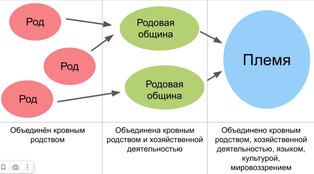 Роды рода различия. Что такое род племя община. Родовая община и племя. Род родовая община племя. Род община племя схема.