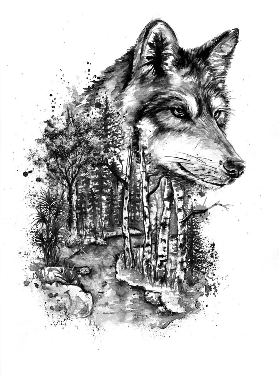J wolf