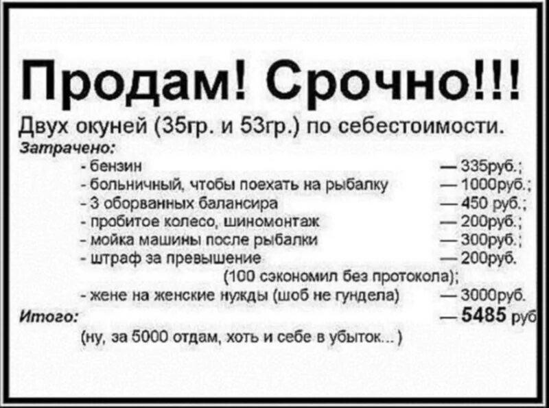 Продам 2 окуня по себестоимости. Продам двух окуней по себестоимости. Окунь по себестоимости. Окунь по себестоимости. Продам рыбу по себестоимости.