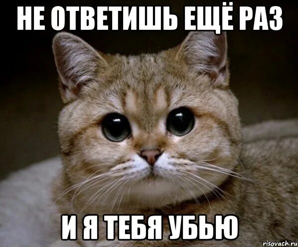 Я тебя убью. Если ты не ответишь я укушу тебя за попу. Егор пидрилов.