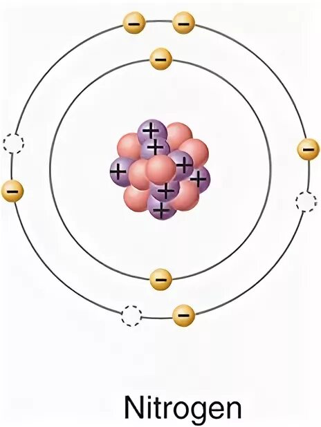 Атомы азота и фтора. Модель атома азота. Атомная модель азота. Модель атома азота физика. Атом азота рисунок.