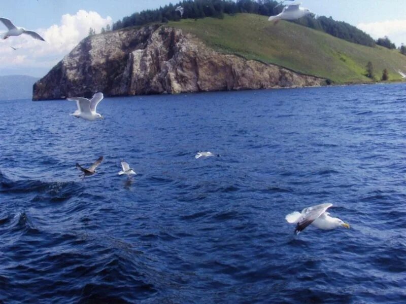 Родная вода. Красота воды России 2 класс окружающий мир. Красота воды Башкортостана 2 класс окружающий мир. Красота воды родного края Байкал 2 класс окружающий мир. Красота воды города Керчи 2 класс окружающий мир.