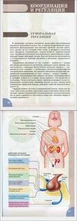 Учебник по биологии 8 класс человек сонин