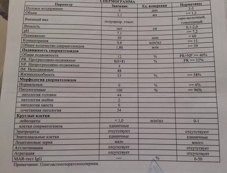 Половое воздержание у мужчин. Спермограмма диагноз тератозооспермия. Спермограмма нормозооспермия. Олигозооспермия и астенозооспермия. Спермограмма заключение тератозооспермия вискозипатия.