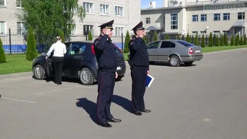 Водитель шаховская