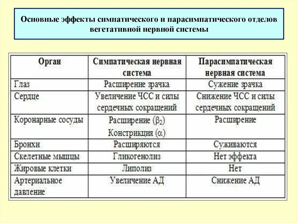 Действия симпатического и парасимпатического отделов. Сравнительная характеристика отделов вегетативной нервной системы. Парасимпатическая система и симпатическая система. Таблица влияние симпатической и парасимпатической нервной системы. Характеристика симпатической и парасимпатической нервной системы.