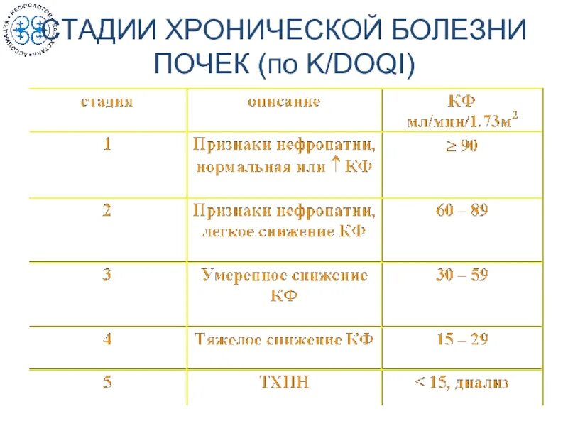 Стадии хронической почечной недостаточности у собак. Стадии хбп и хпн. Хроническая почечная недостаточность кошек клиника. Хроническая почечная недостаточность у кошек. Стадии почечной недостаточности по креатинину у кошек.