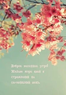 Русский язык весеннее утро