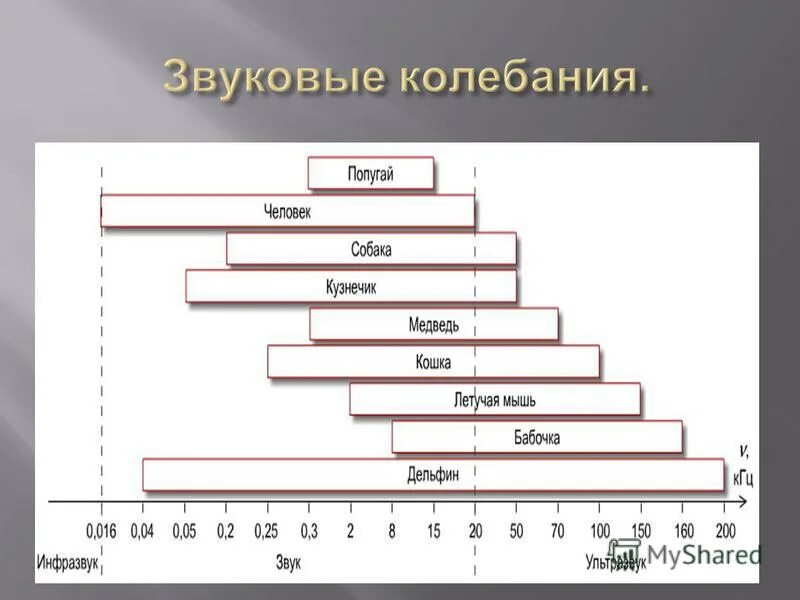 Высота звука физика 9 класс. Высота тембр и громкость звука. Высота тембр и громкость звука 9 класс физика. Высота тембр и громкость звука физика видеоурок. Источники звука звуковые колебания 9 класс.