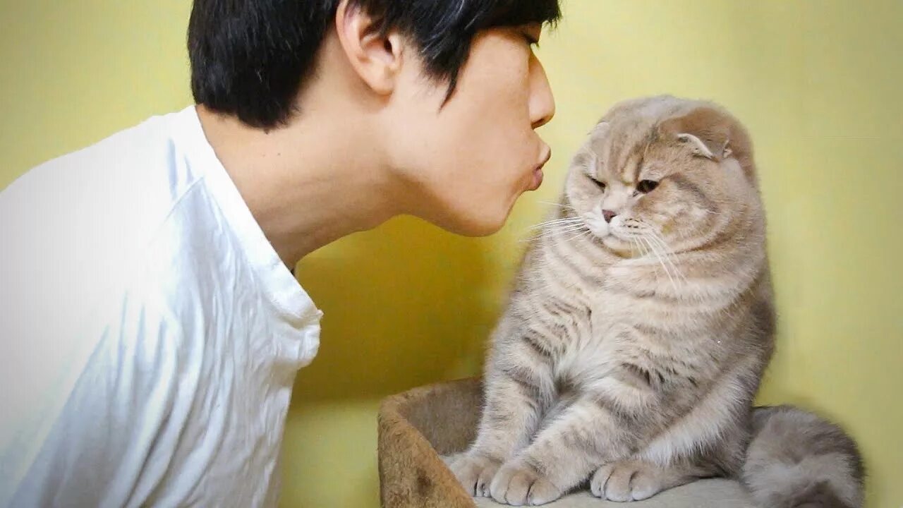 He has 5 cats