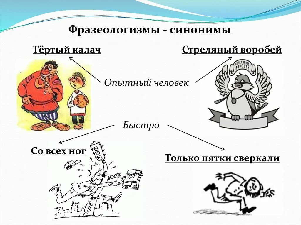 Классы фразеологизмов в русском языке. Фразеологизмы. Фразеологизмы примеры. Опытный человек фразеологизм. Фразеологизмы синонимы.