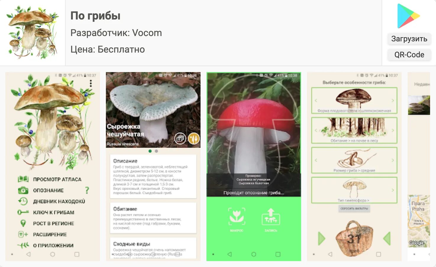 Распознавание грибов по картинке