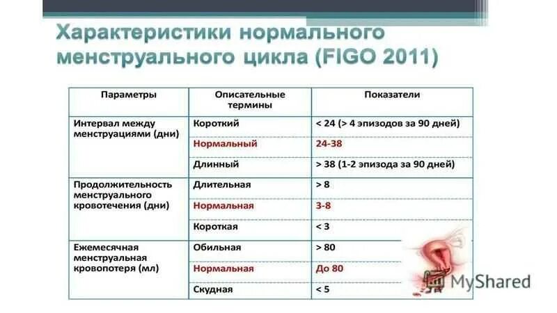 Параметры нормального менструального цикла. Параметры нормального менструационного цикла. Характеристика менструального цикла. Показатели нормы менструального цикла. Месячные три раза в месяц