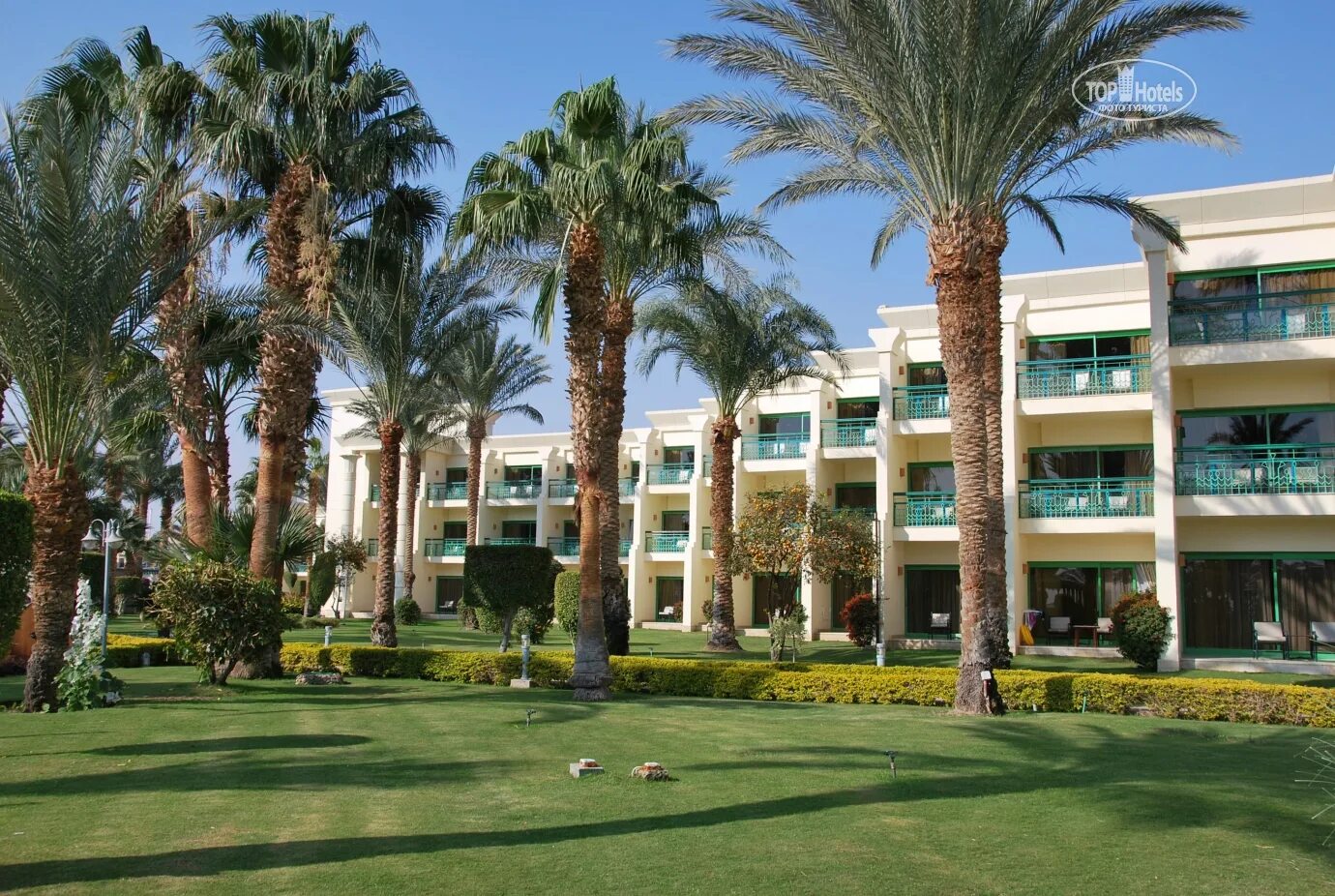 Отель в Хургаде Swiss Inn Resort Hurghada.
