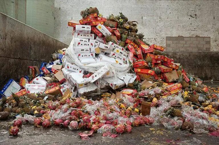 Биологических отходов. Пищевые отходы на свалке. Продукты на помойке. Сельскохозяйственные отходы. Утилизация пищевых отходов.