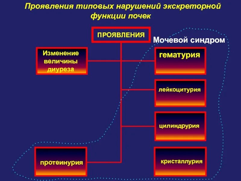 Нарушение выделительной функции почек патогенез. Проявления расстройств почечных функций. Типовые нарушения выделительной функции почек проявления. Патогенез нарушений экскреторных\ функций почек.. Проявить нарушение