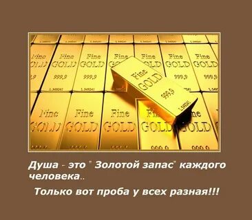 Каждый запас