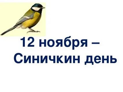 День синички 12 ноября