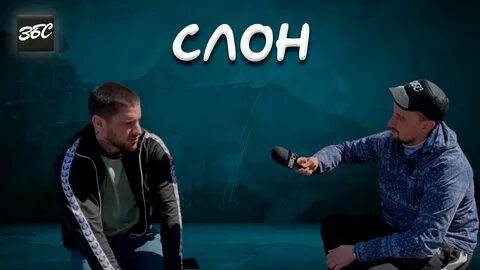 Слон блоггер