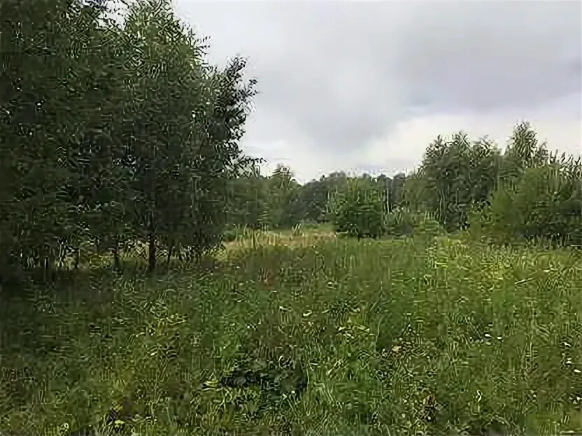 Участок гектар. Участок на восток 1. Дальний восток участок. Земельные ресурсы приморского края. Киевская область ставищенский роскошна.