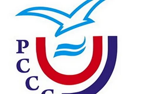 Российский студенческий союз