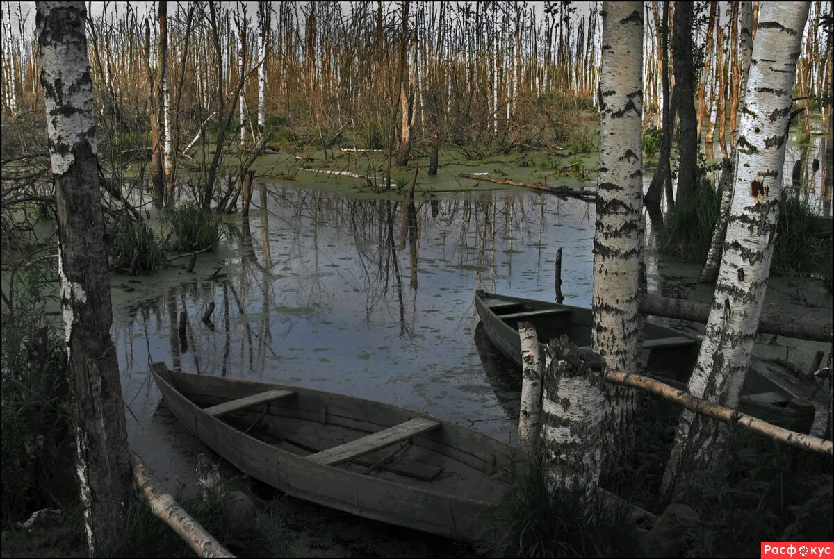 гиблое место. дадлитаун город призрак. заброшенная деревня в карелии пегрема. гиблое место 4. гиблое место 4.