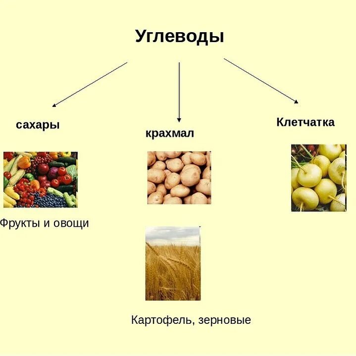 Орехи содержат углеводы. Клетчатка это углевод. овощи это углеводы или клетчатка. углеводы продукты. волокнистые овощи и фрукты.