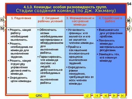 Организация эффективной деятельности команды
