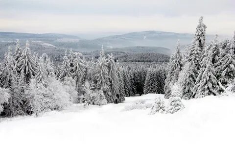 Many snow