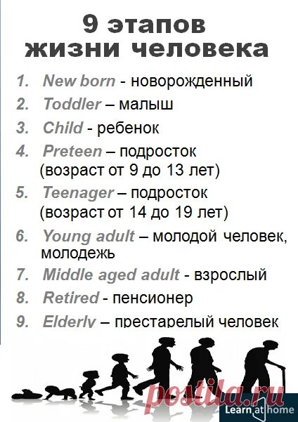 Возраст на английском. Этапы жизни на английском. Название возрастов в английском языке. Возраст на английском языке для детей. Как говорят английские люди