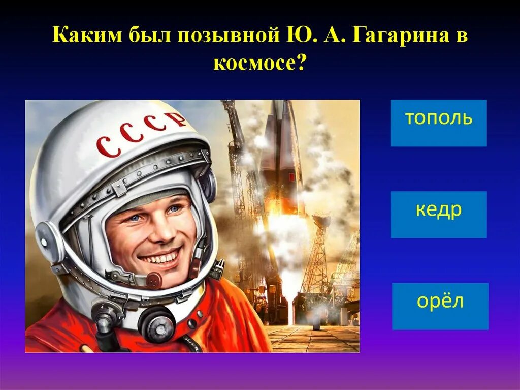 Какой позывной у гагарина во время полета. Как назывался космический корабль Гагарина.