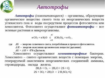 Организмы образующие органические вещества и неорганические