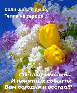 Все у нас прекрасно
