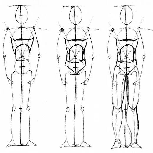Схема человека. Пропорции человека в полный рост. Пропорции тела человека карандашом. Пропорции человека для рисования в полный рост. Пропорции тела человека человека в полный рост поэтапно.