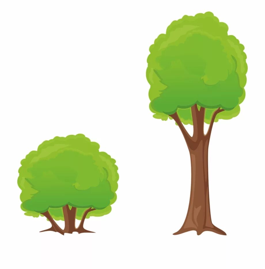 2 trees