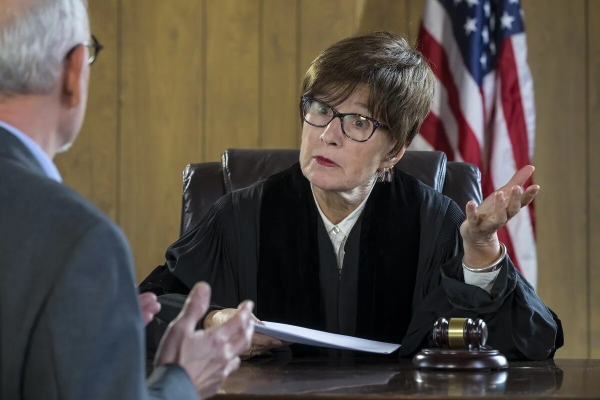 You the defendant asked the judge. Judge. lawyer in court. prosecutor in court.