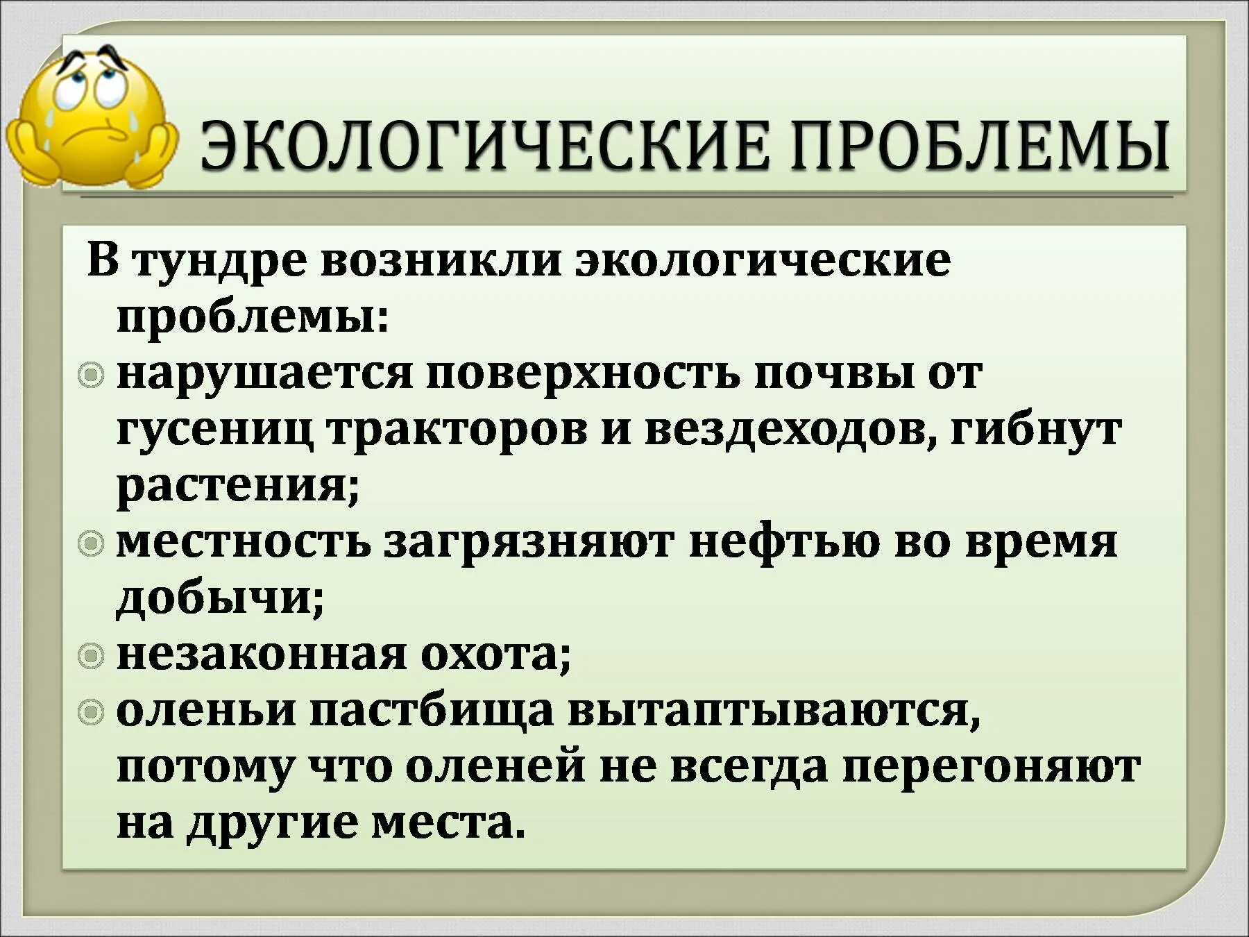 Причины экологических проблем в тундре