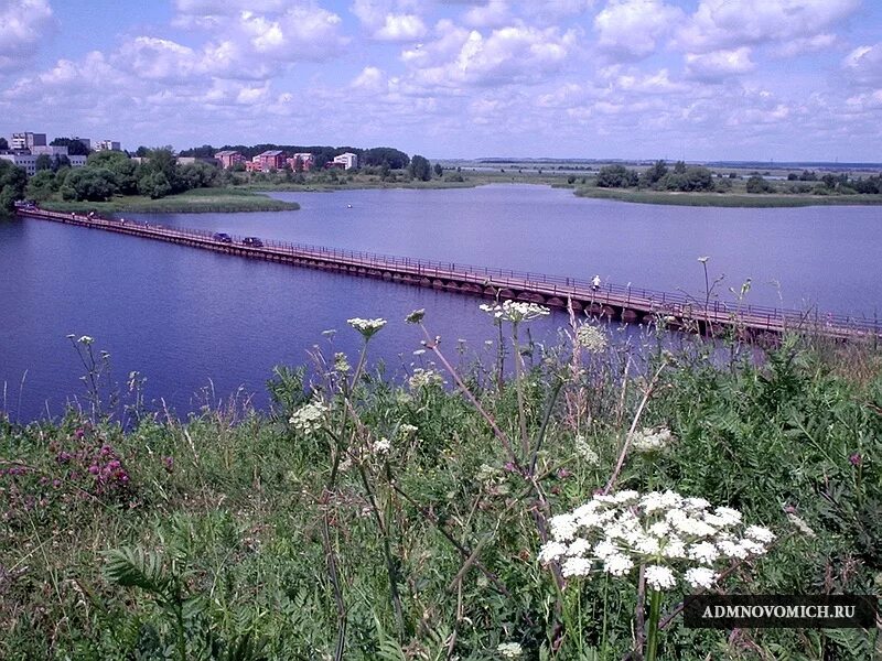 Береговая погореловка. Новомичуринск Проня. Новомичуринск водохранилище. Новомичуринское водохранилище Рязанской области. Новомичуринск Рязанская область.