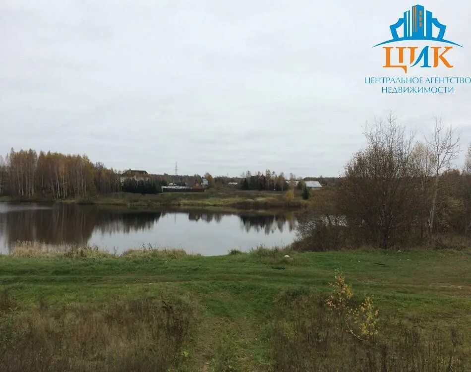 Пруд в деревне васюнино. Прудцы пруд дмитровский район деревня. Обмеление рек в европе. Прудцы дмитровский. Прудцы дмитровский район.