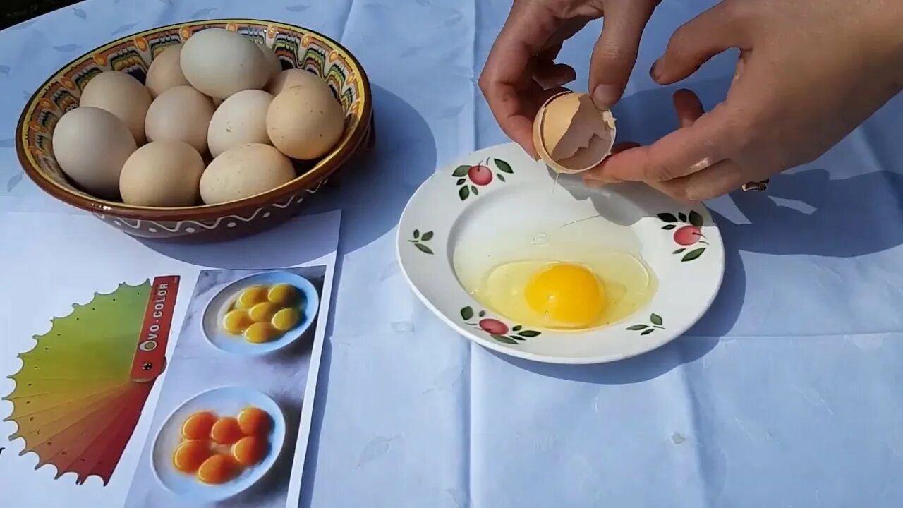 Цвет желтка яиц. Яйца с ярким желтком. Цвет куриного желтка. Добавка желток для окраски яиц.