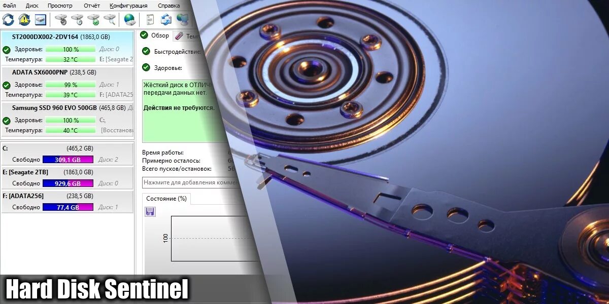 Hard программы. HDD Sentinel. HDD Sentinel SSD. HD Sentinel Pro. Хард диск Сентинел.