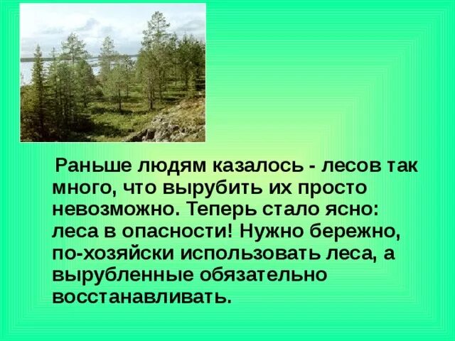 Зона лесов и человек