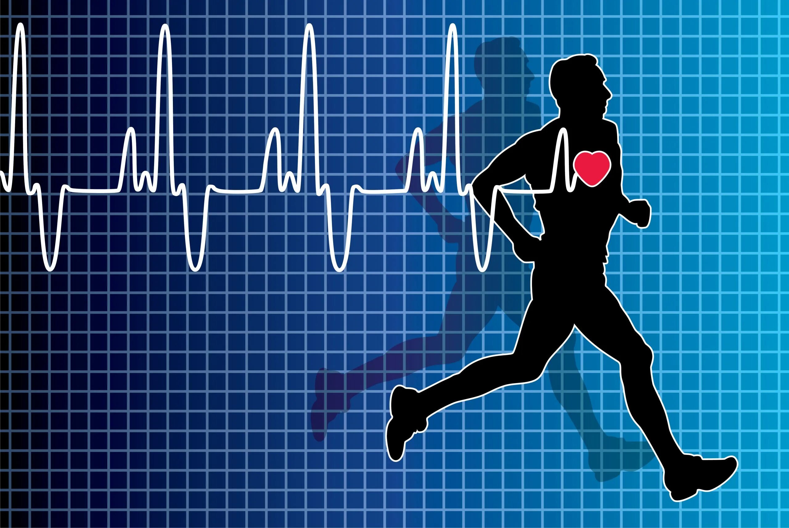 Сердце убегает. Тренировка сердца. Сердце спорт. Бег и сердце. Пульс человека.