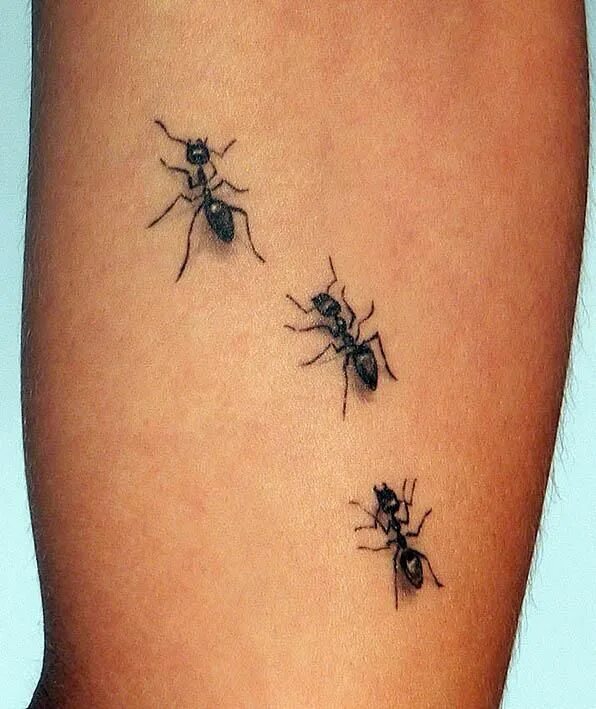 Ant ink