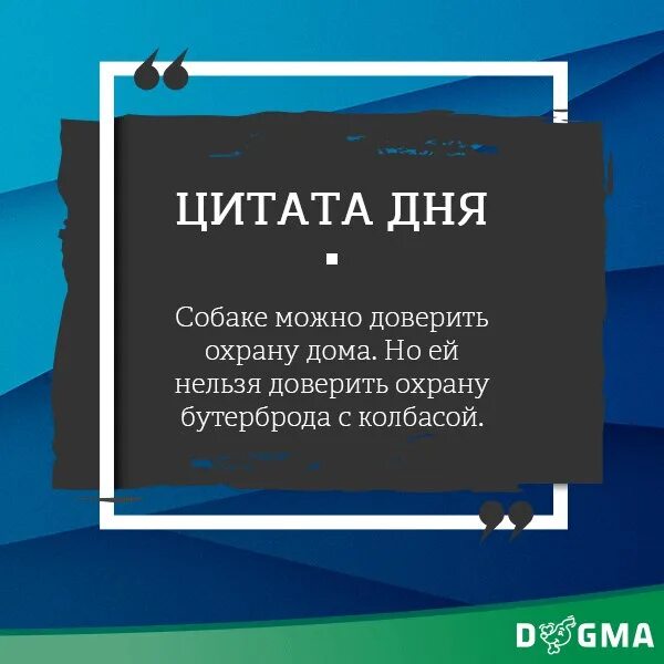Догма работа. Догма это значение слова. догма слово. догма пример. дисклеймер догма.