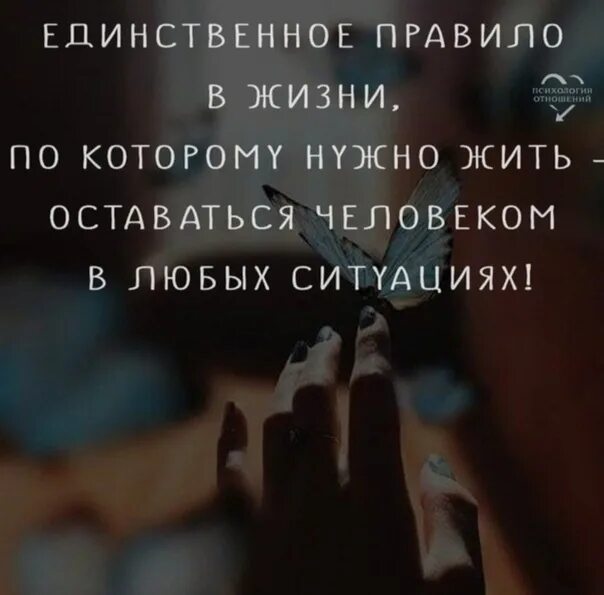 Люди оставайтесь людьми в любой ситуации цитаты. Единственное правило жизни. Единственное правило жизни. Главное оставаться человеком в любой ситуации. Единственное правило жизни.