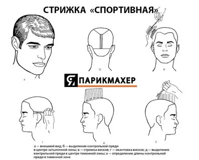 Видео мужская схема